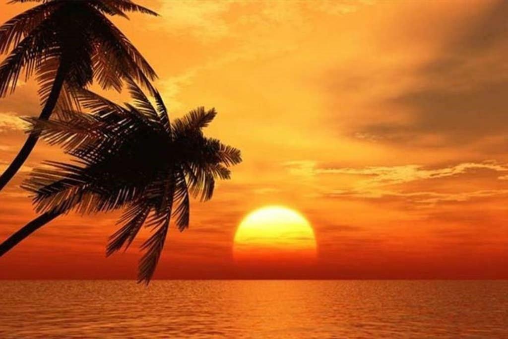 The Beach On Longboat Key Bagian luar foto